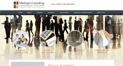 Desktop Screenshot of meilingerconsulting.com